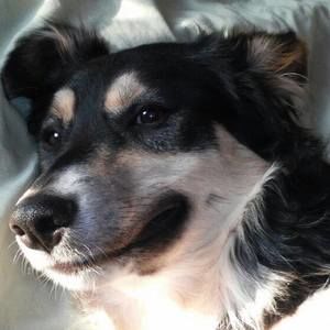 Meet your Posher, Diane